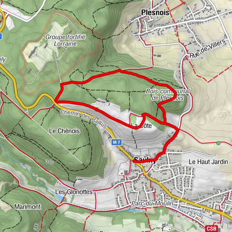 Église Saint-Brice - Saulny