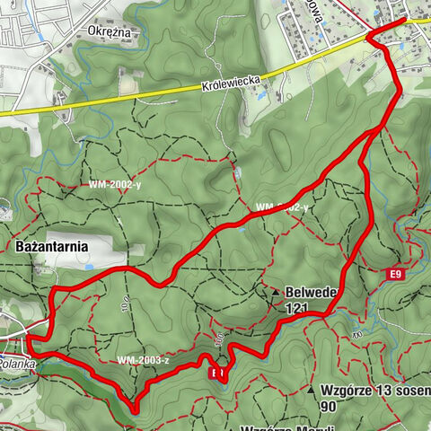 Dąbrowa - Elbląg - Myśliwska - Bażantarnia
