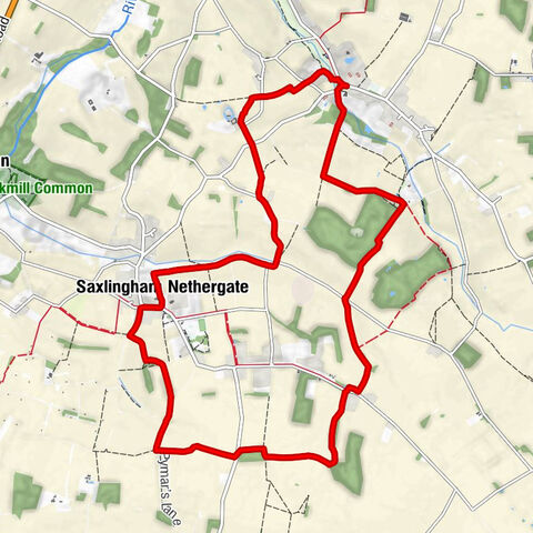 Saxlingham Nethergate - Saint Mary - Shotesham