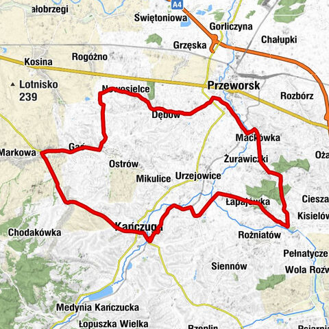 Kańczuga - Kościół pw. Wniebowzięcia NMP - Kościół pw. MB Łaskawej
