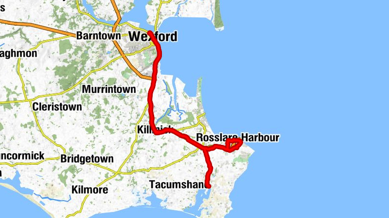 Wexford O'Hanrahan - The Church of the Assumption - St. Ruane's Church - Saint Patricks Church