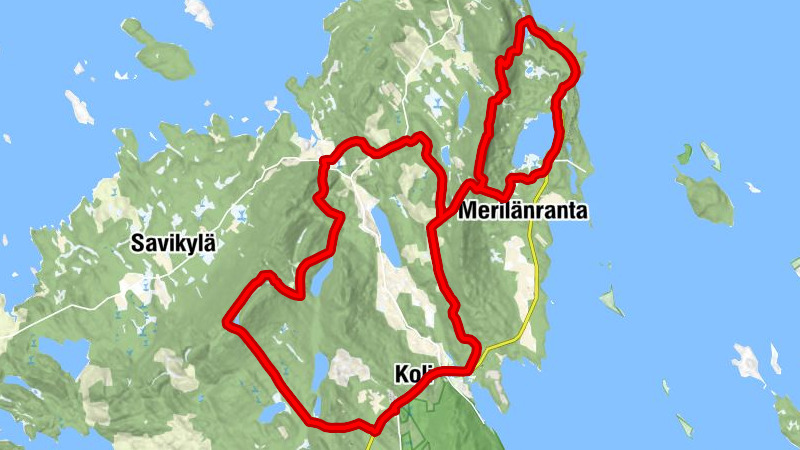 Kolin Ryynänen - Lahnalampi - Käränkävaara - Merilänranta