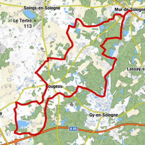 Église Saint-Pierre - Mur-de-Sologne - Les Petites Fosses - L'Ardilleux