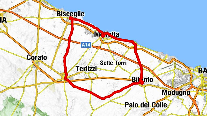 Bisceglie - Chiesa di San Domenico - Santuario della Madonna delle Grazie - Cattedrale di Santa Maria Assunta
