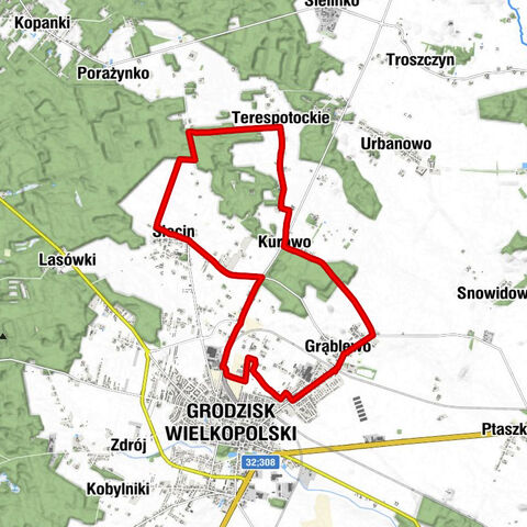 Grąblewo - Grodzisk Wielkopolski - Słocin - Terespotockie