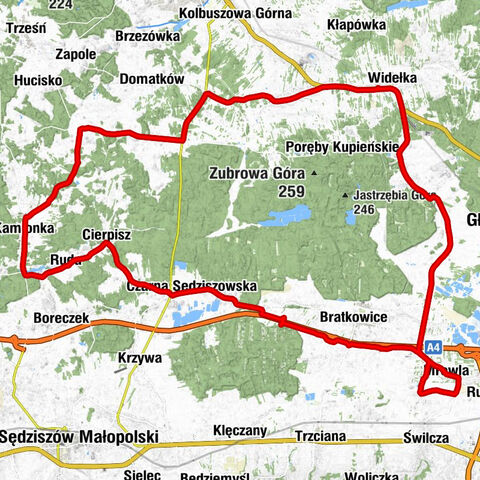 Wielka Widełka - Kościół pw. Niepokalanego Serca NMP - Kościół parafialny pw. św. Łukasza Ewangelisty - ResGas