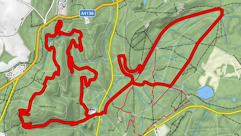 West Dean - Sallowvallets Inclosure - Wimberry Quarries