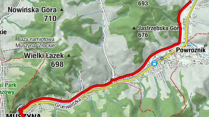 Muszyna - Gumienko - Za Kościołem - Szczerbak