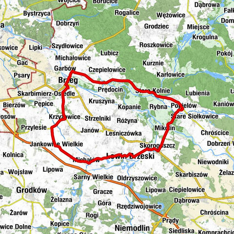 Brzeg - Kościół pw. Wniebowzięcia Najświętszej Maryi Panny w Jankowicach Wielkich - Kościół pw. Najświętszej Maryi Panny Królowej Aniołów - Kościół P.W. Św. Antoniego