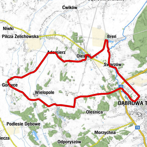 Dąbrowa Tarnowska - Kaplica pw. Matki Bożej Częstochowskiej - Kozubów - Zagrody