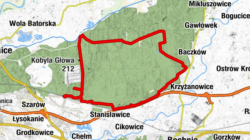 Kłaj - Grzybówka - Kobyla Głowa