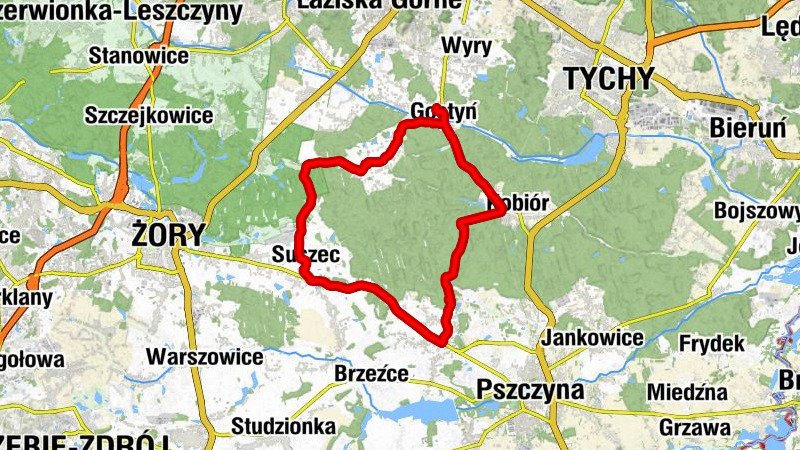 Kościół pw. Świętych Piotra i Pawła - Gostyń - Kościół pw. Świętego Stanisława Biskupa i Męczennika w Suszcu - Kościół pw. Świętego Antoniego Padewskiego