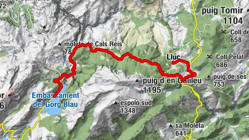 Escorca - Turixant de dalt - Ca'n Gallet - Lluc