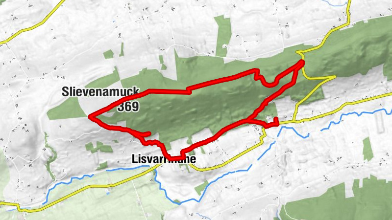 Tree Top Restaurant - Ballinacourty restaurant - Lisvarrinane - Slievenamuck