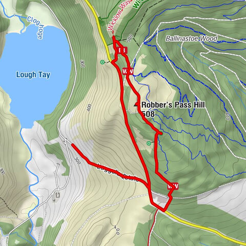Ballinastoe - Robber's Pass Hill