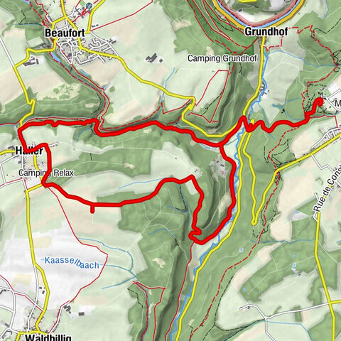 Adlerhorst - Aire de l'aigle - Raiberhiel - L'Enfer