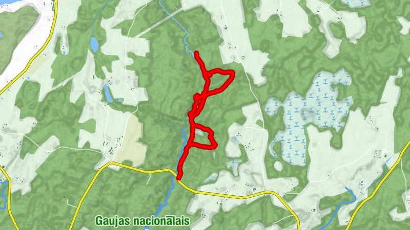 Raiskuma pagasts - Nebraukšu ala