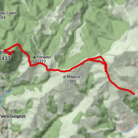 Baia de Arieș - Colțu Cioranului - Poienița