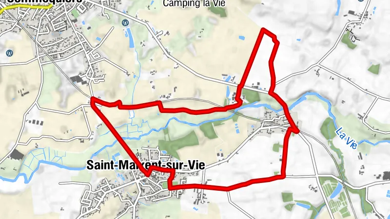 SCHLEIFE NR. 24 - SAINT MAIXENT SUR VIE