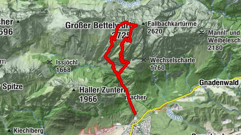 Großer Bettelwurf