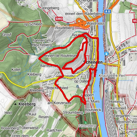Schengen autopedestre