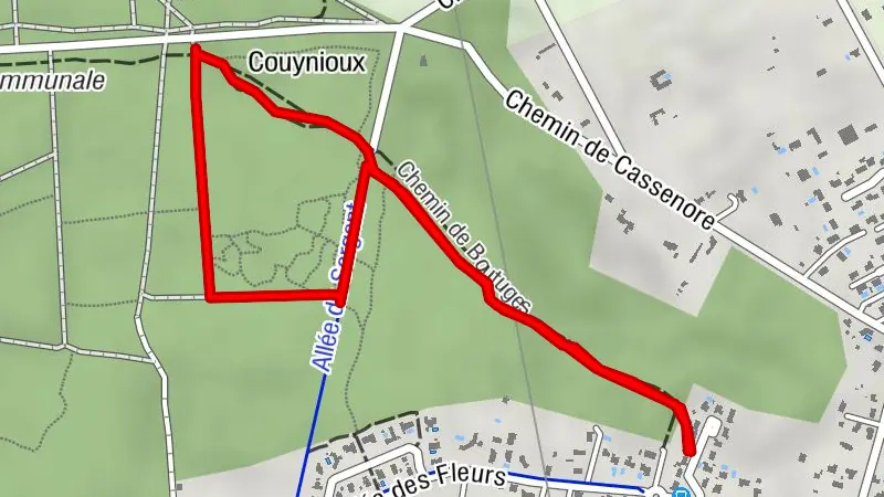 Balade à roulettes : La forêt du Taillan 1 - Impraticable