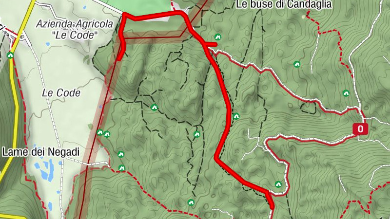 Cansiglio zwischen Buchen, Hirschen und Geschichte