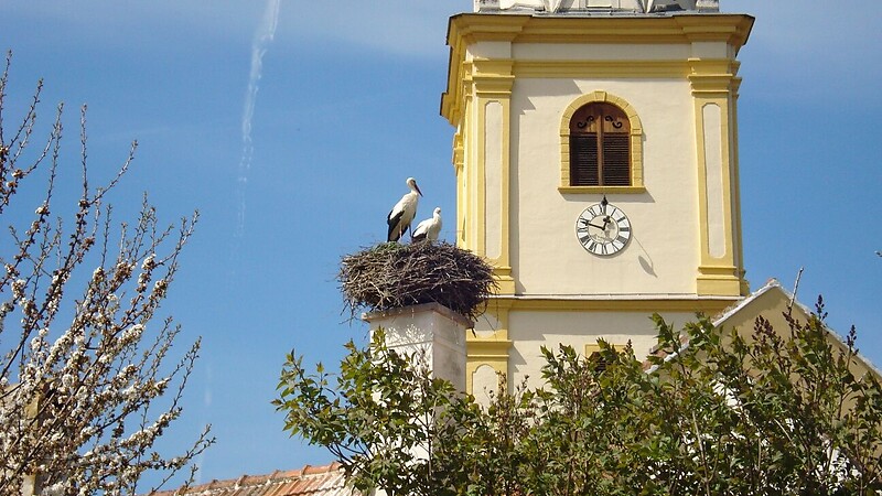Karte