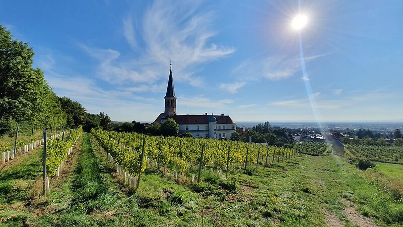 Karte