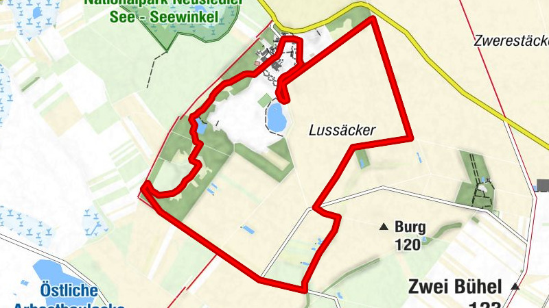 15 Birkenlauf (Laufpark Neusiedler See - Seewinkel)