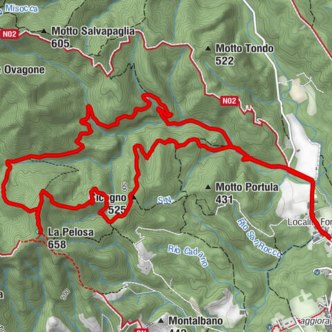 Maggiora, Piemonte/Italia