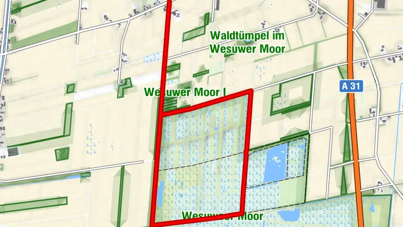 Wesuweer Moor