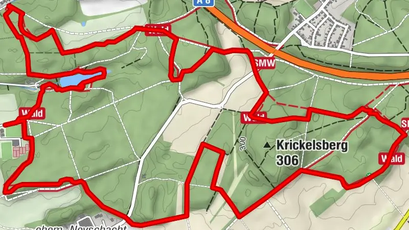 Traumschleife Waldzeit