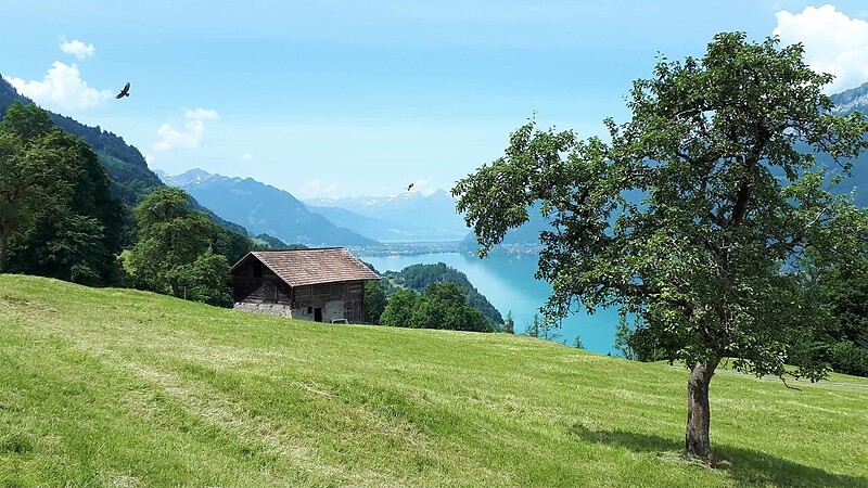 Karte