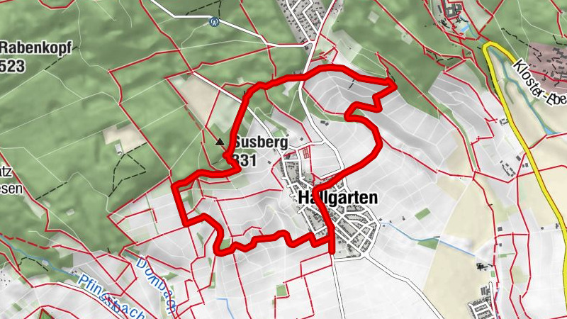 Hallgarter Sonnenrunde (Rieslingschleife)