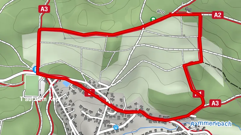 A1 Flammersbach