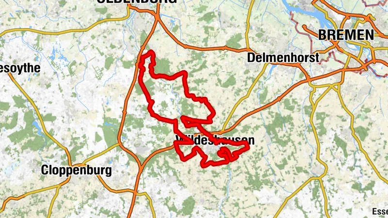 SteinZeitspuren-Tour