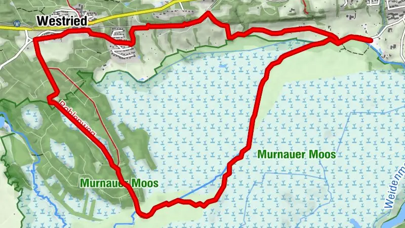 Wanderung - Moos-Rundweg
