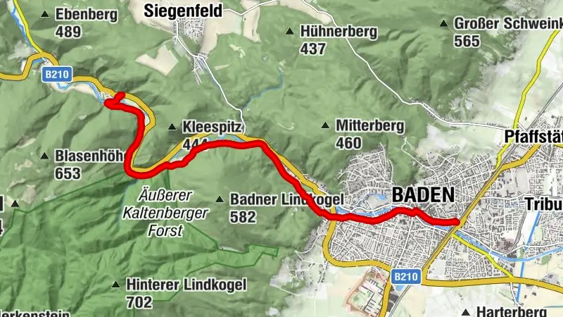 Von Baden auf dem 'Wegerl im Helenental' zur Augustinerhütte (April 2026)