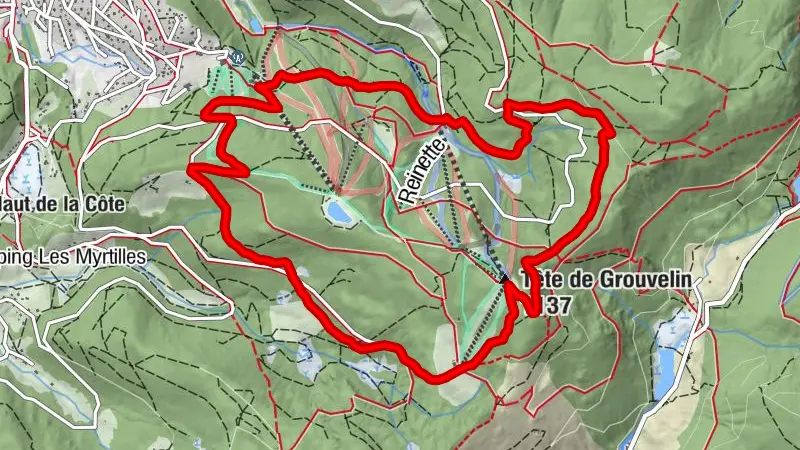 Trailrun 2 (grün) - Der Kopf von Grouvelin