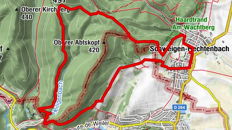 Blick nach (Vue) Wissembourg – Grenzlandweg Runde von Schweigen-Rechtenbach