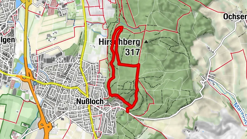 Hohlweg "Weiße Hohl" Nußloch