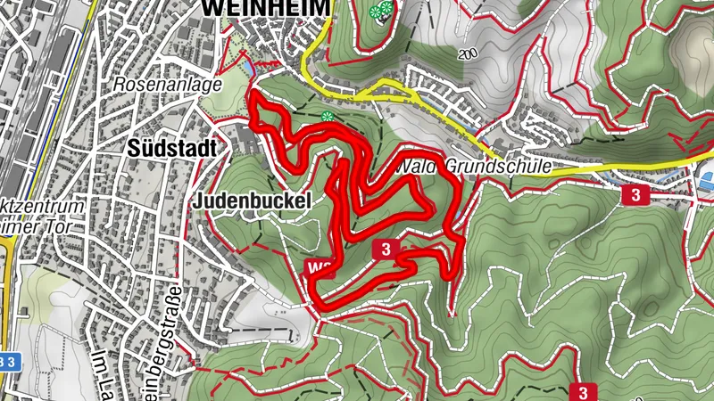 Exotenwald Weinheim, Grosser Rundweg