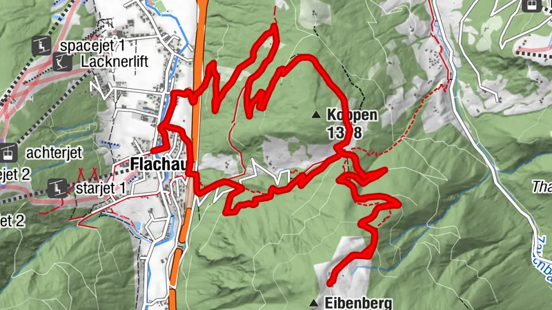 Sattelbauer-Lackenalmen (SW31 b+c)