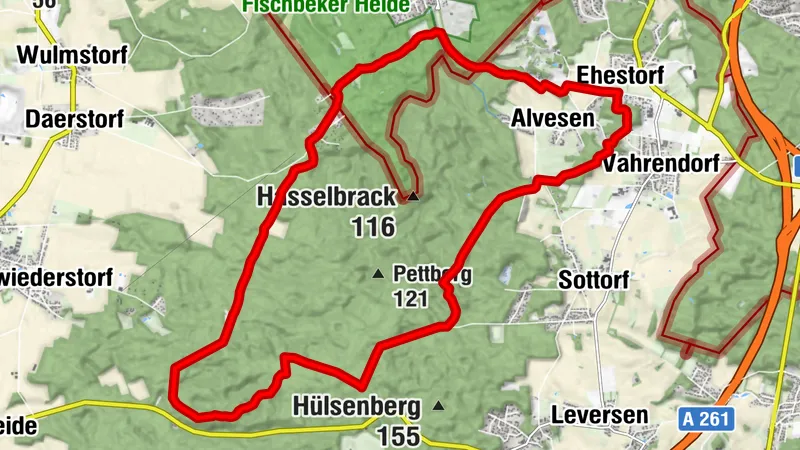 Schwarze Berge - Unterm Blätterdach zu geheimnisvollen Steinen