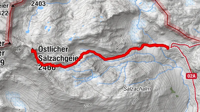 Salzachgeier