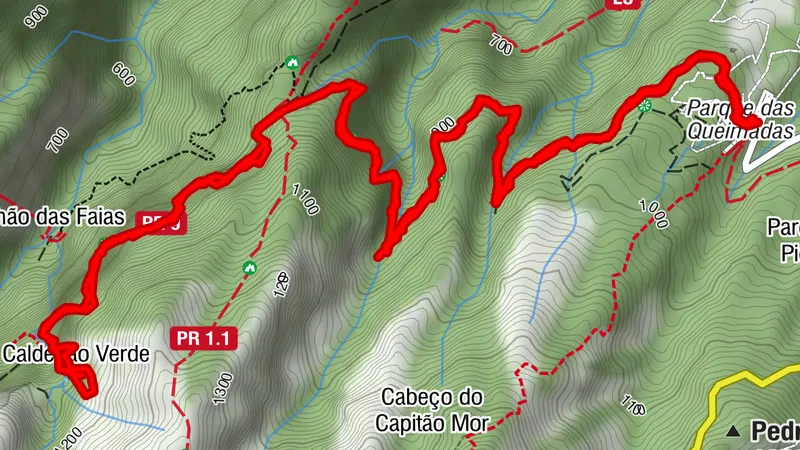 Madeira PR9