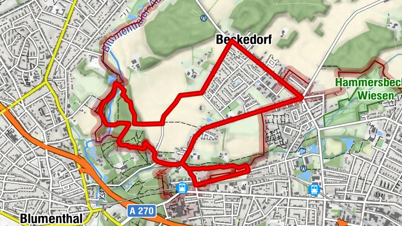 Schmiedeweg