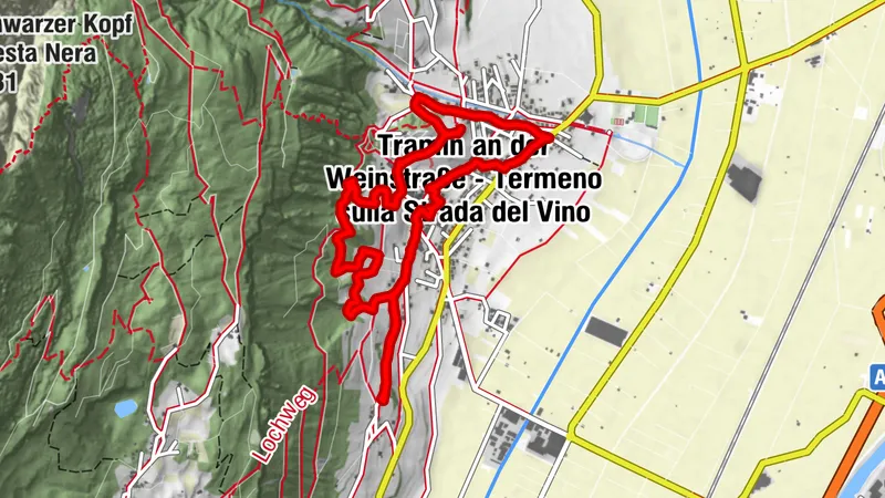 Tramin, Minigolf - St. Jakob - Gewürztraminer Weg - Rungg/Hofschank zur Pergola - zurück