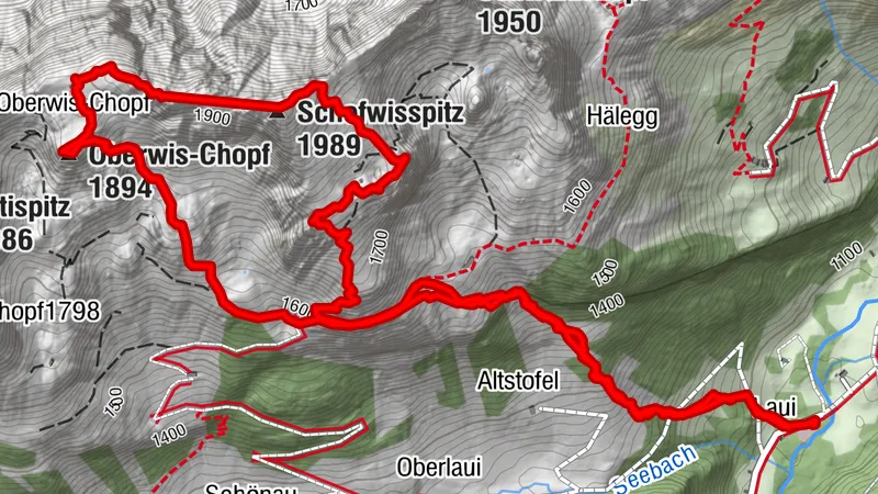 Oberwischopf-Stöllen-Schofwisspitz-Schattenwand, Wildhaus-Alt St. Johann